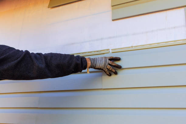 Affordable Siding Repair and Maintenance Services in Boise, ID